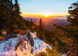 72+ Project Management Quotes to Inspire You Before Your Next Project