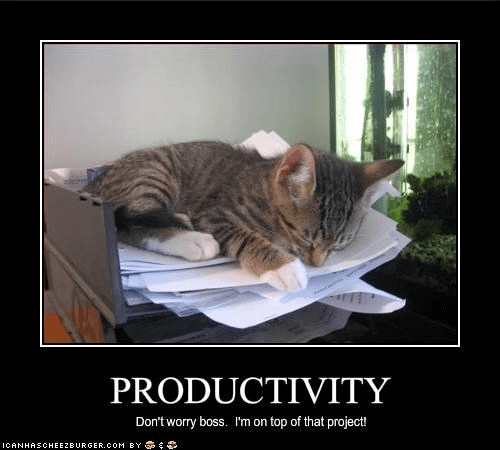 Productivity Memes - 60 Funniest Memes to Make Your Monday Suck Less