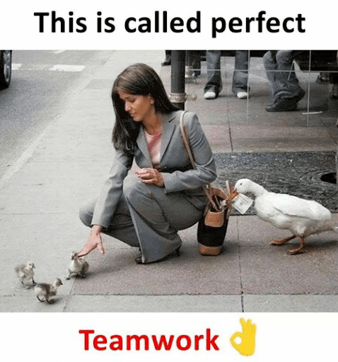 teamwork fail meme