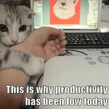 Productivity Memes 60 Funniest Memes To Make Your Monday Suck Less