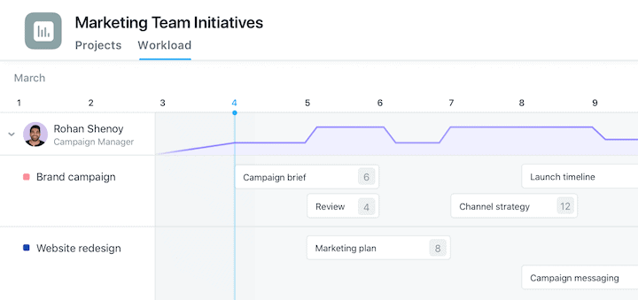 Asana Workload Management