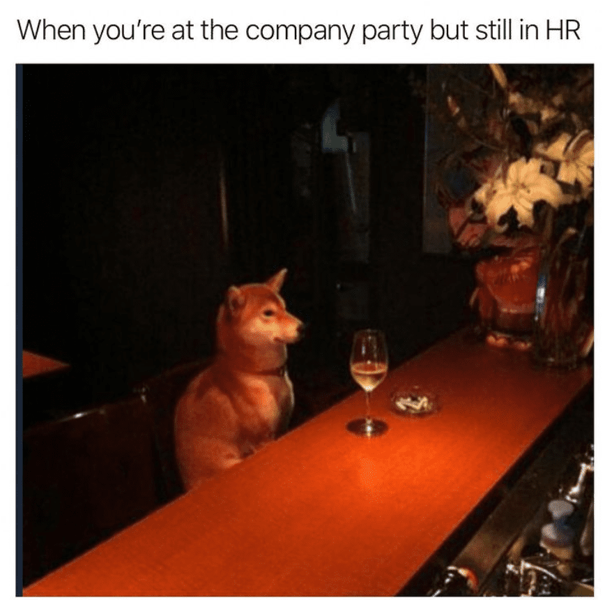 HR company party meme with a dog.