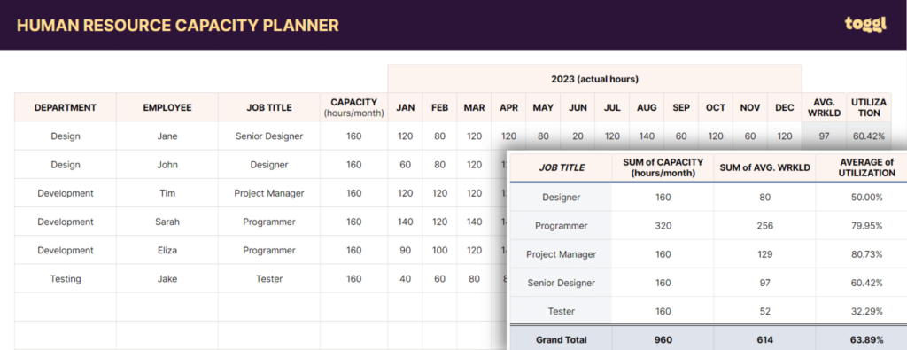 Human Resource Capacity Planning Template